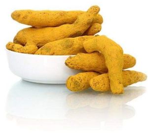Yellow Organic Turmeric Finger Food Grade for Cooking