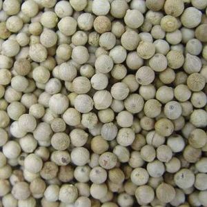 Organic White Pepper Seeds Food Grade for Cooking