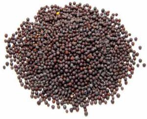 Natural A Grade Black Mustard Seed 9%