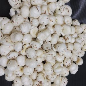 4.5 Suta Makhana 4.5 Suta Makhana