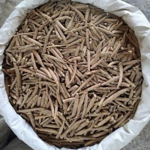 Ashwagandha Stem Ashwagandha Stem