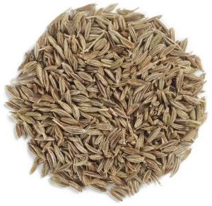 Faq Quality Cumin Seeds