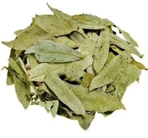 Senna Dried Leaves