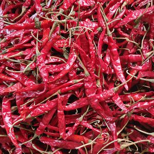 Teja S17 Dried Red Chilli Teja S17 Dried Red Chilli