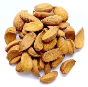 Mamra Almond Nuts for Snacking Or Cooking, Shelf Life : 12 Months