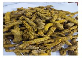 Bright Yellow Turmeric Finger, Packaging Size : 25-50kg Food Grade