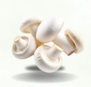 Farm Fresh White Mushroom