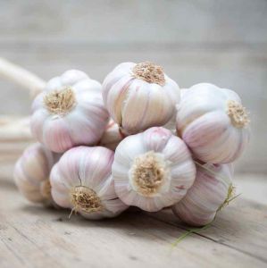 Fresh White Garlic, Packaging Type : Mesh Bags for Cooking, Seasoning