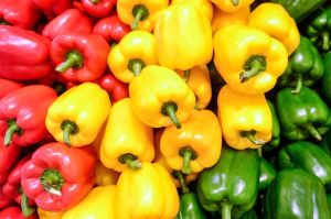 Fresh Bell Peppers