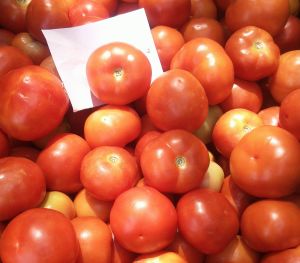 Fresh Red Tomato