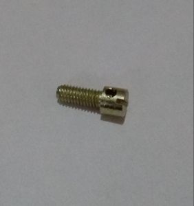 3 Inch Brass Slotted Sealing Screw for Fittings Use