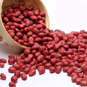 Red Natal Peanut Kernel, Shell Type : Without Shell