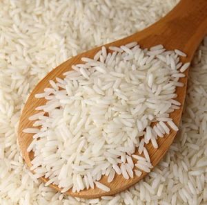 Medium Grain Sharbati Basmati Rice, Packaging Size : 25-50kg