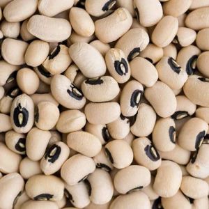 Black Eyed Peas