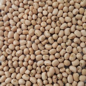 Cow Peas
