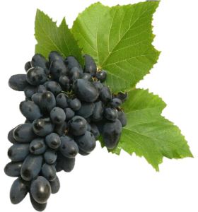 Fresh Black Grapes