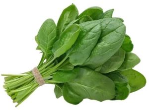 Fresh Green Spinach Leaves