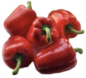 Fresh Red Capsicum