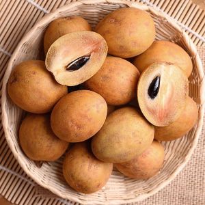Fresh Sapodilla