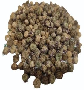 Kulekhara Herbal Seeds