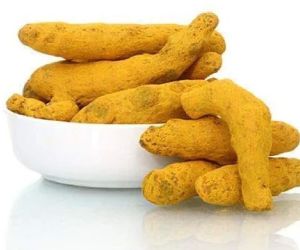 Lakadong Turmeric Finger