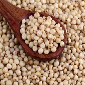 Sorghum Seeds