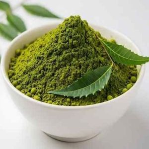 Fresh Neem Leaf Powder