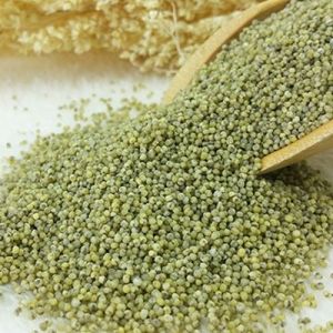 Organic Green Millet Seeds, Seed Type : Natural 100%