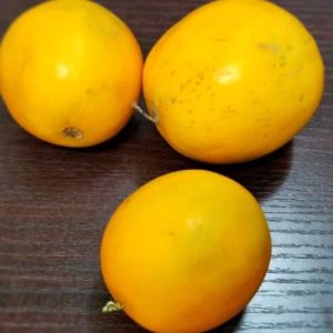 Fresh Yellow Cucumber