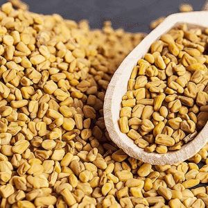 A Grade Organic Fenugreek Seed, Packaging Type : Bag