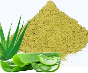 Green Organic Aloe Vera Powder, Packaging Type : Resealable Pouch
