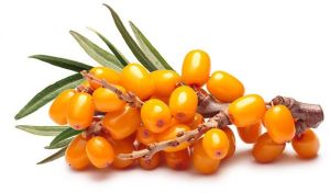 Red Organic Sea Buckthorn for Human Consumption