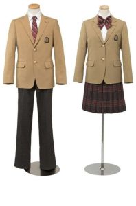 Check Cotton Kids School Uniform, Color : Multicolor, Age : 10-15