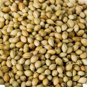 Green Organic Coriander Seeds, Seed Type : Natural Food Grade