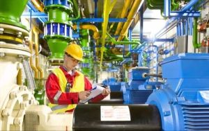 Motor Testing Service