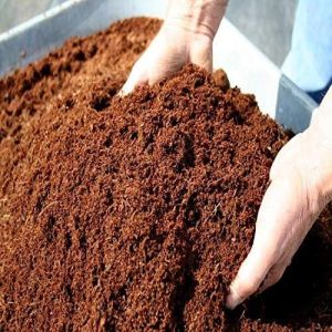 Coco Peat Powder, Color : Brown, Packaging Size : 25 Kg, 50 Kg
