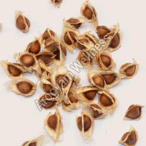 Organic Drumstick Seeds, Color : Brown for Planting Cultivation