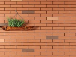 Terracotta Wall Tile