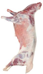 Fresh Whole Goat Meat for Cooking