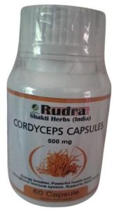 500mg Cordyceps Capsules