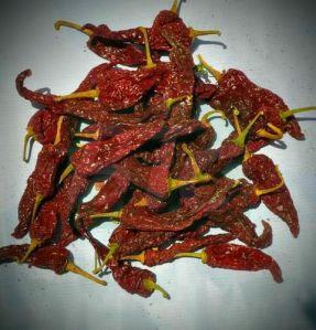 Byadgi Dabbi Chilli