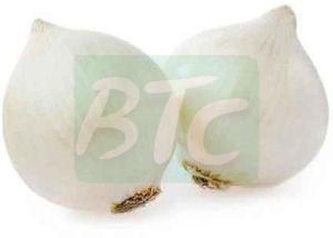 Fresh White Onion