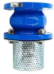 Cast Iron Foot Valve, Brand Name : AR Industries 100-150mm