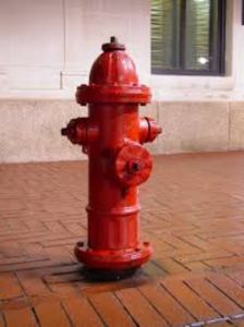 Hydrant System