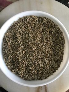 Singapore Quality Cumin Seeds