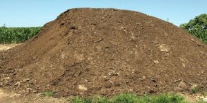 Organic Chicken Manure, Color : Black-brown, Standard : Bio Grade