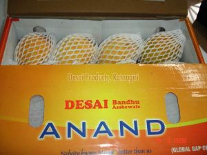 Geographical Indication Certified Alphonso Mangoes