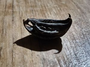 Herbs,Sticks and Roots