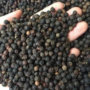 Vietnam Grade Black Pepper Seeds, Grade : Faq / Asta