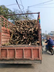 Firewood Logs for Burning Use, Generating Energy